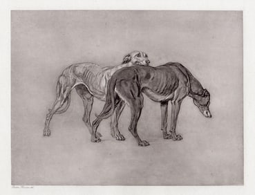 Briton Riviere 1892 Antique Print Greyhounds signed Framed