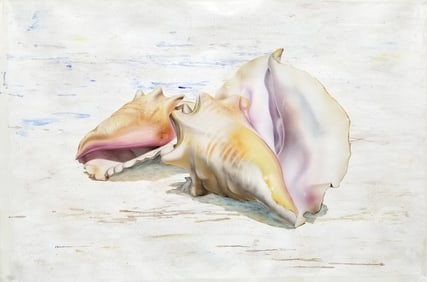 Francisco Casas Original Painting Conch Shells 47 x 31 Inches