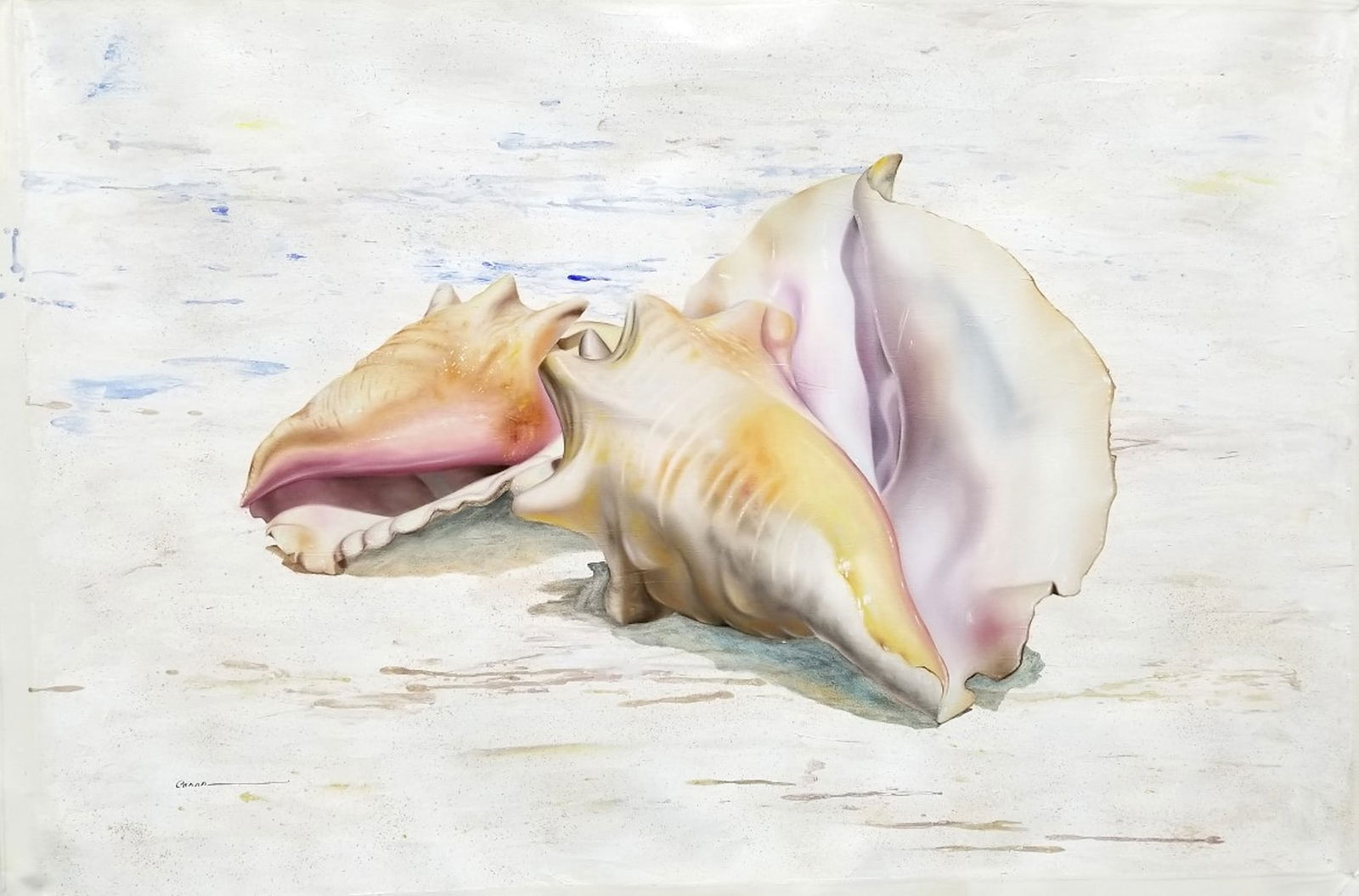 Francisco Casas Original Painting Conch Shells 47 x 31 Inches: Francisco Casas. Conch Shells. Original oil painting on canvas. Signed by the Artist. Canvas Size 47 x 31 inches. Francisco Casas was born in Alcoy, Spain in 1952. Casas understands the profound simpl