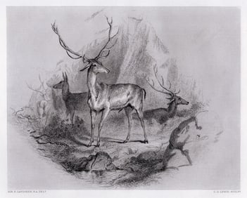 Sir Edwin Henry Landseer 1876 engraving In the Glen signed