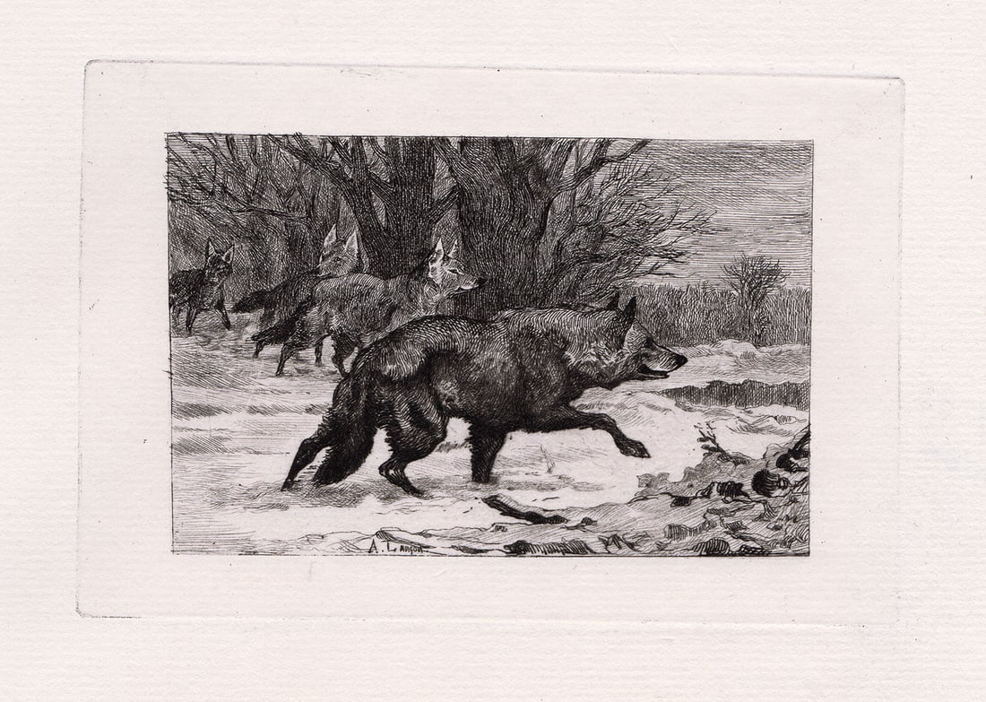 Auguste Andre Lancon 1874 etching Wolves signed: Auguste Andre Lancon. (French, 1836-1887). Wolves. Original Copper plate etching on laid paper. 1874. Signed in the Plate, lower center. Excellent. Image Size 3 3/4 x 5 3/4 inches. Approximately 13 x