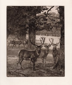 Heywood Hardy Deer in Windsor Park 1885 etching