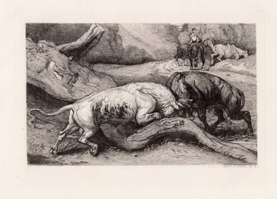 James Ward 1874 etching Fighting Bulls signed
