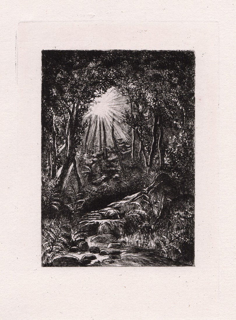 Philip Gilbert Hamerton Rivulet in a Forest 1874 Etching: Philip Gilbert Hamerton. Rivulet in a Forest. Original copper plate etching on laid paper. 1874. Image Size 4 x 5 3/4 inches. Framed dimensions: Approximately 13 x 15 inches. This piece has been profe