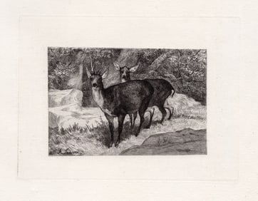Auguste Andre Lancon 1874 etching Roebucks signed