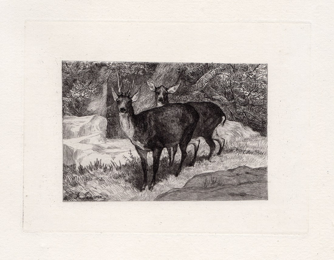 Auguste Andre Lancon 1874 etching Roebucks signed: Auguste Andre Lancon. (French, 1836-1887). Roebucks. Original Copper plate etching on laid paper. 1874. Signed in the plate lower left. Excellent. Image Size 4 5/8 x 6 1/4 inches. Framed dimensions ap