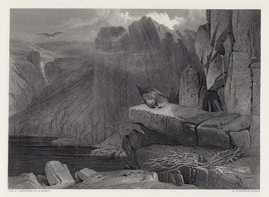 Sir Henry Edwin Landseer The Eagle's Nest 1876 engraving