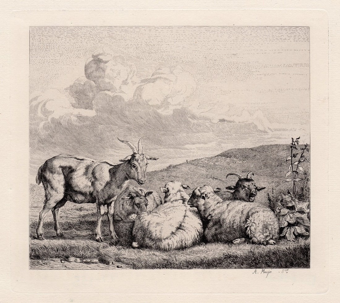 Karel Dujardin Sheep and Goats etching signed (1 of 3)