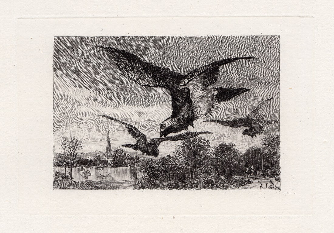 Auguste Andre Lancon Hawks etching signed (1 of 2)