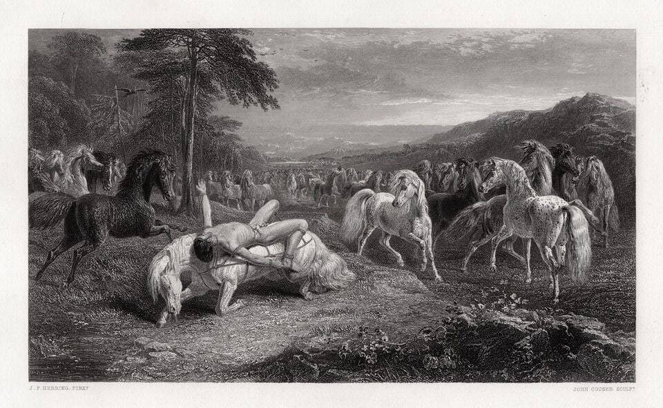 John Frederick HERRING 1800s Engraving Mazeppa Suffering Framed SIGNED (1 of 2)