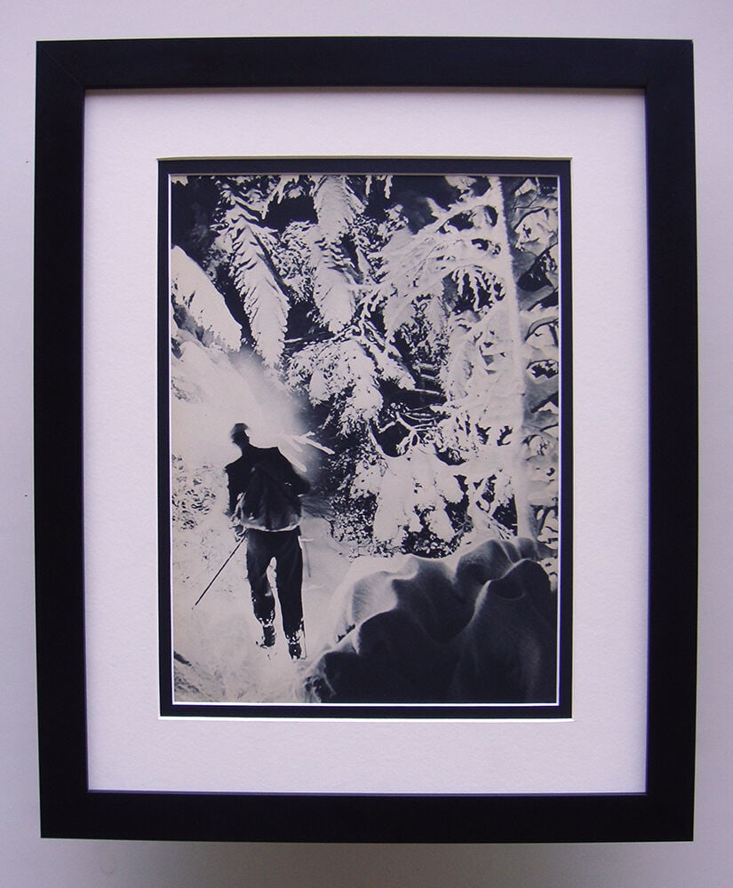 K. Machatschek Leaves 1930's photogravure: K. Machatschek. Leaves. Antique Photogravure. 1937-1940. Excellent. Teriade. Draeger Freres. Image size 9 3/4 x 13 1/2 inches. Approximately 19 x 23 inches. This piece has been professionally matted a