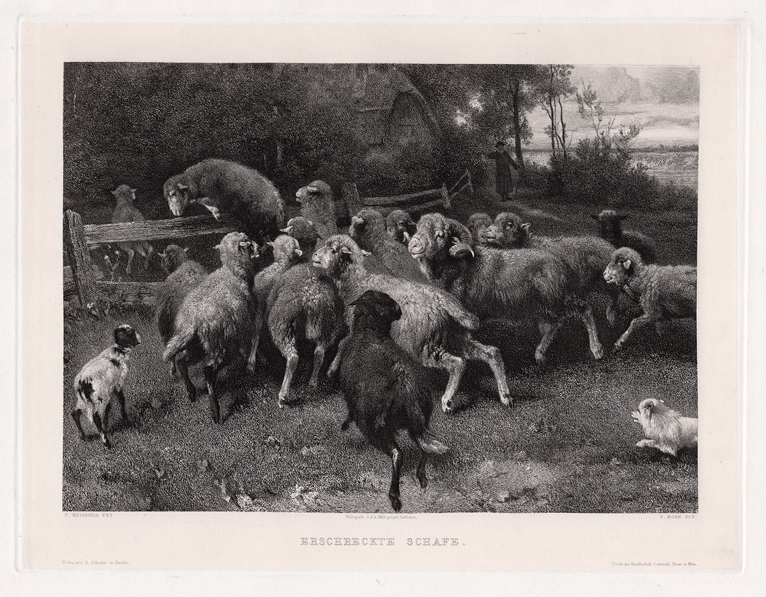 1887 Ernst Adolf Meissner Frightened Sheep(Erschreckte Schafe) print signed: Ernst Adolf Meissner. (German, 1837-1902). Frightened Sheep(Erschreckte Schafe). Antique heliogravure on wove paper after the original by master engraver E. Mohn. 1887. Signed in the plate. Excellent.