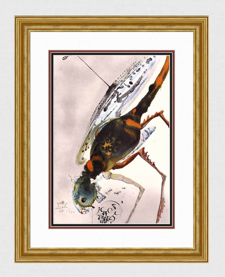 Dali Solomon's Prayer Original Biblia Sacra Lithograph Framed: Salvador Dali. "Fames si orta fuerit iu terra et pestilentia, aeruga et aurugo et locusta et bruchus (If there is famine in the land, if there is pestilence or blight or mildew or locust or caterpilla