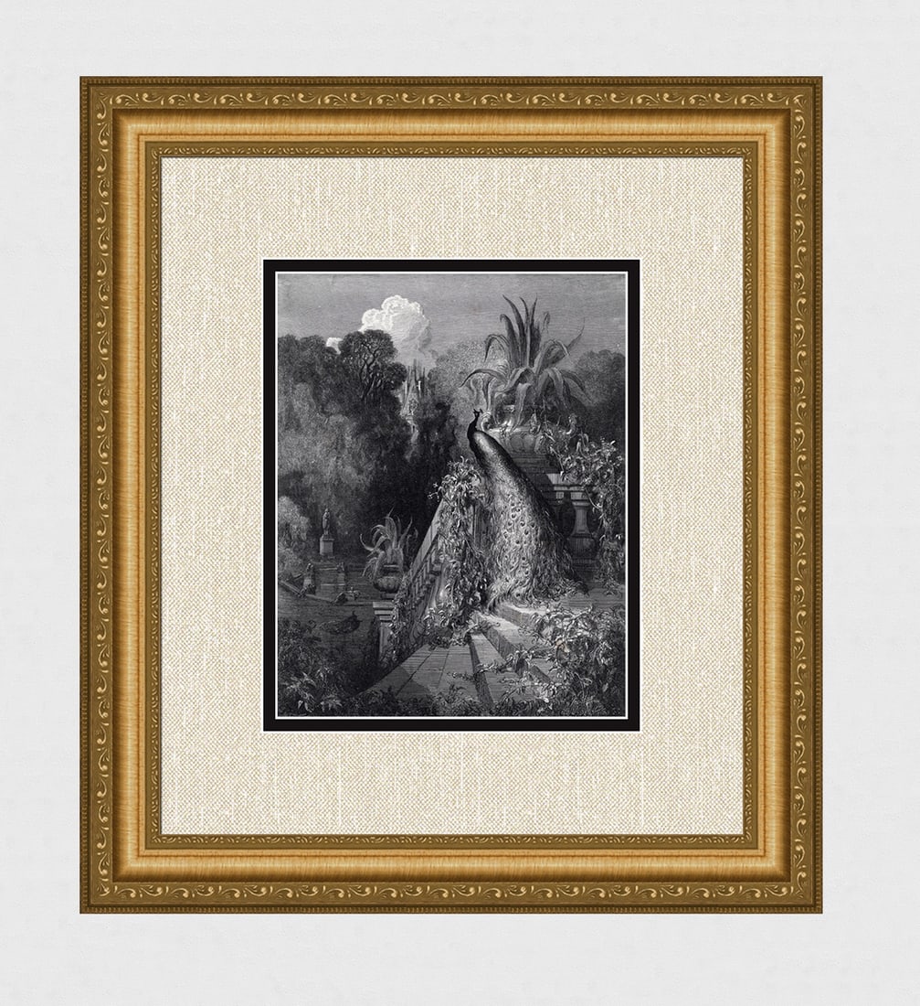 Gustave Dore Peacock Complaining (Fontaine's Fables) c. 1880 Woodcut: Gustave Dore (Paul Gustave Louis Christophe Dore) (French, 1832-1883).The Peacock Complaining to Juno (Fontaine's Fables). Antique woodcut on wove paper after the original by master wood engraver Char