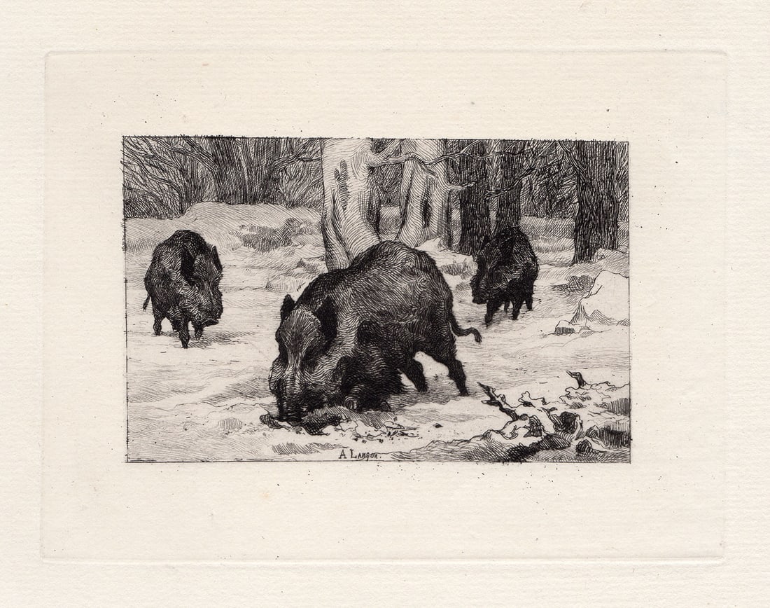1874 Auguste Andre Lancon Wild Boars etching signed: Auguste Andre Lancon. (French, 1836-1887). Wild Boars. Original Copper plate etching on laid paper. 1874. Signed in the Plate, lower center. Excellent. Image Size 4 5/8 x 6 1/8 inches. Approximately 1