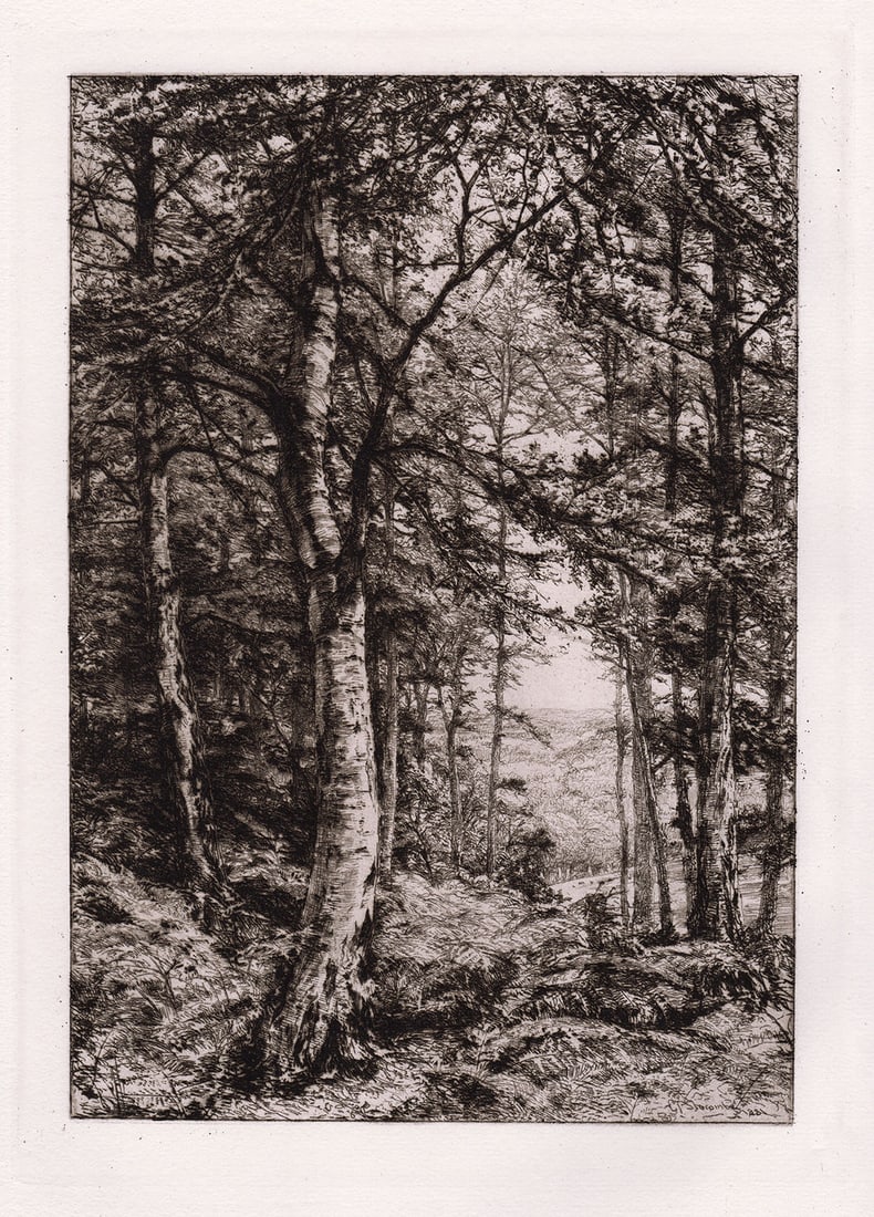 1881 Etching Charles Philip Slocombe Wooded Landscape Framed (1 of 2)