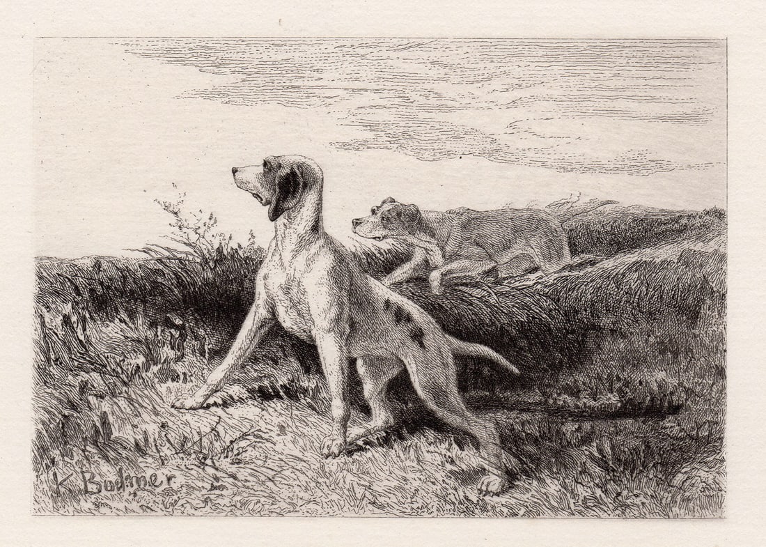 1872 Karl Bodmer Dogs etching signed (1 of 2)