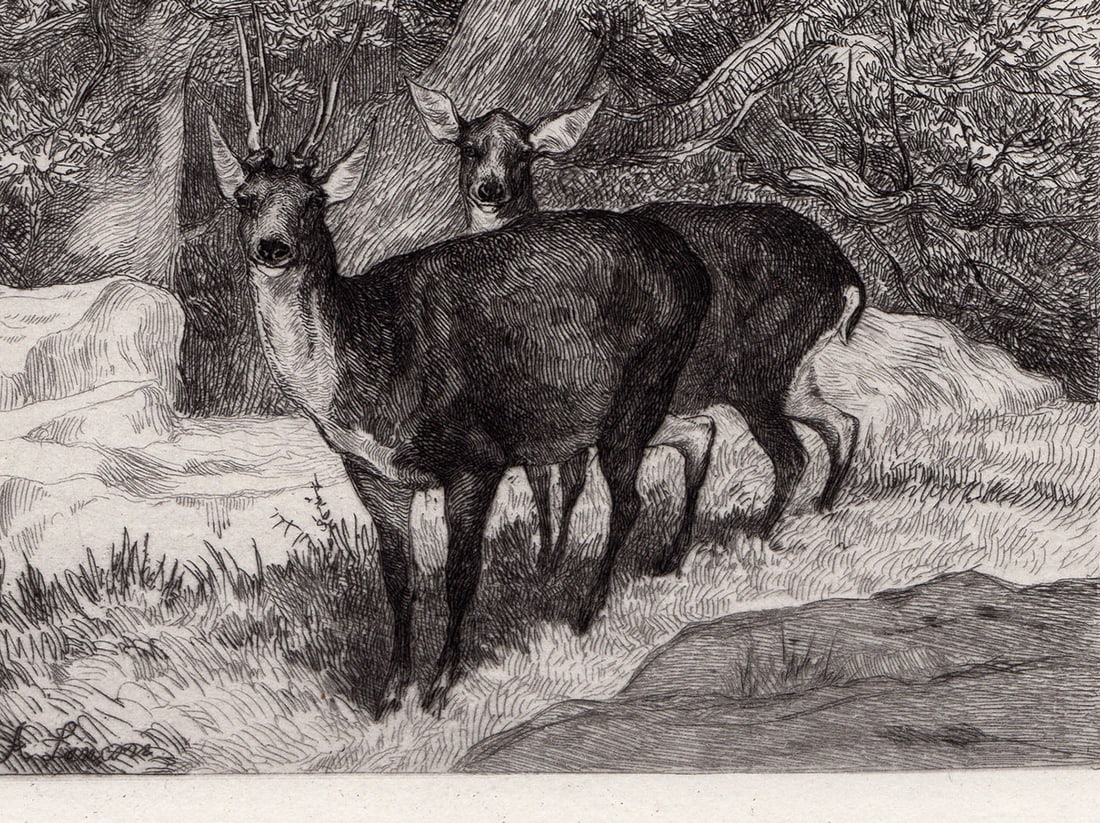 Auguste Andre Lancon 1874 etching Roebucks signed - 2