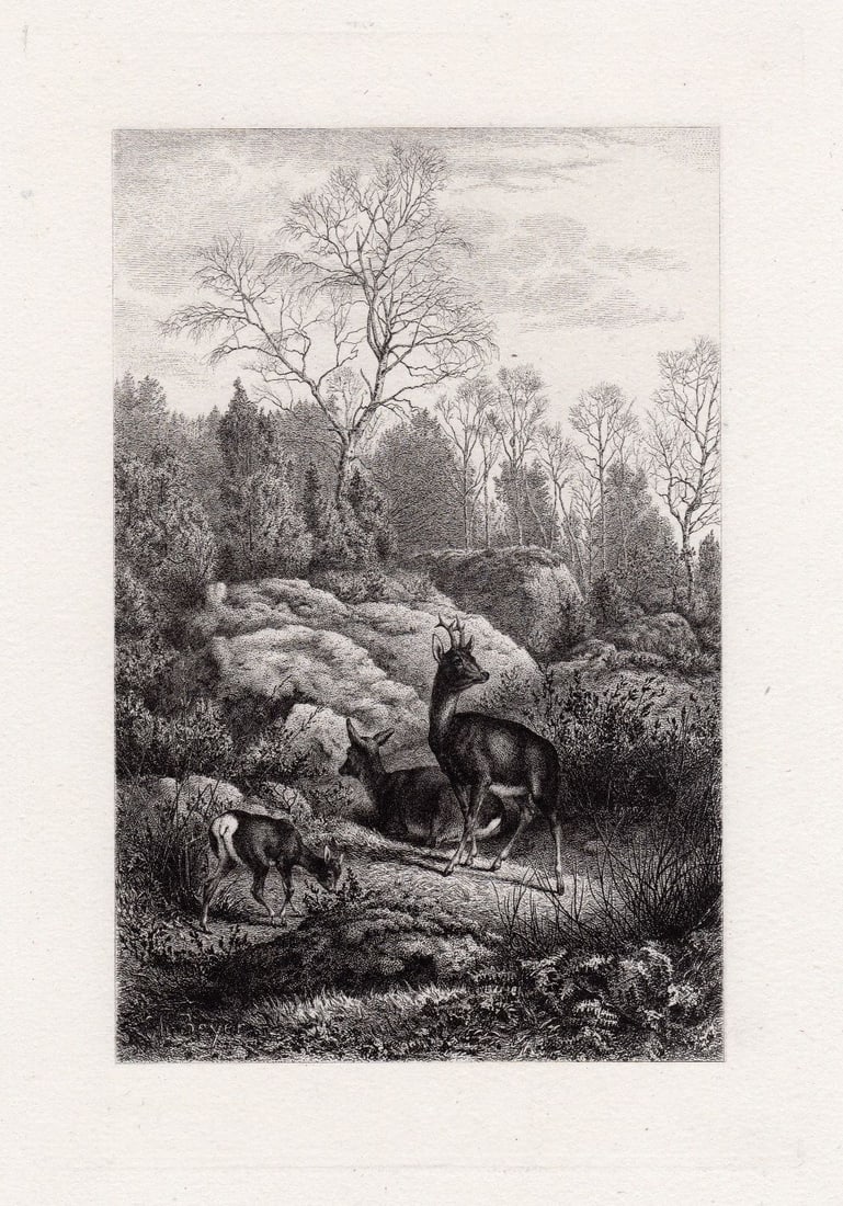 Fabulous Charles Beyer Forest with Deer 1876 etching signed Framed: Charles Beyer. (German/French, 1792-1863). In the Forest of Fontainbleau (Forest of Heather). Original Etching on Laid Paper. 1876. Signed in the plate. Excellent. Image Size - 6 1/4 x 9 1/4 inches. A