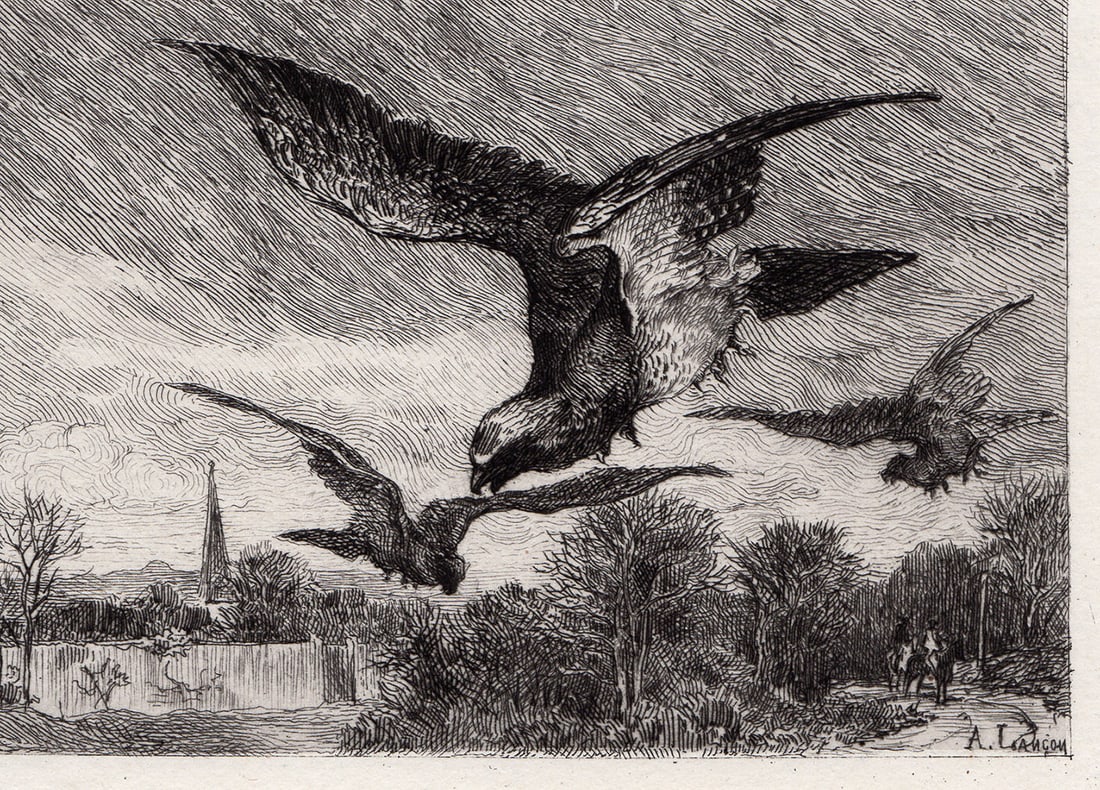 Auguste Andre Lancon Hawks etching signed - 2