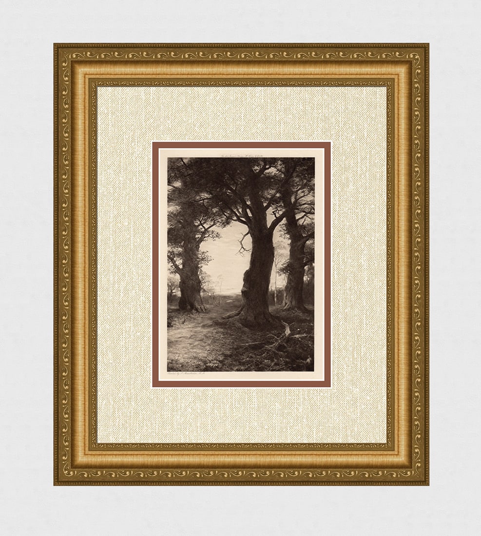 JOHN MACWHIRTER Antique Print "Monarch Oak King of the Forest" SIGNED Framed COA (1 of 3)