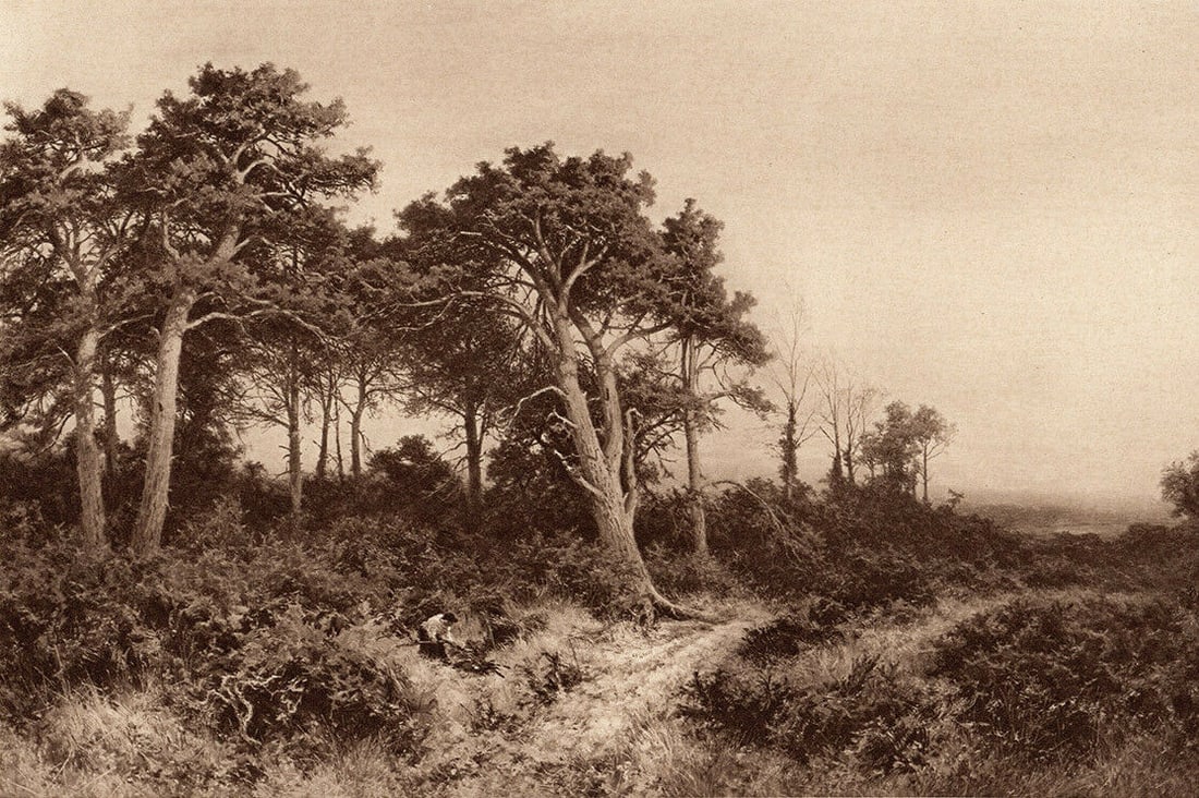 Benjamin Williams Leader Evening's Last Gleam 1899 print: Benjamin Williams Leader. (English, 1831 - 1923). Evening's Last Gleam. Antique heliogravure on wove paper after the original oil on canvas by a Master Engraver. 1899. Excellent. Image Size 6 1/2 x 9 