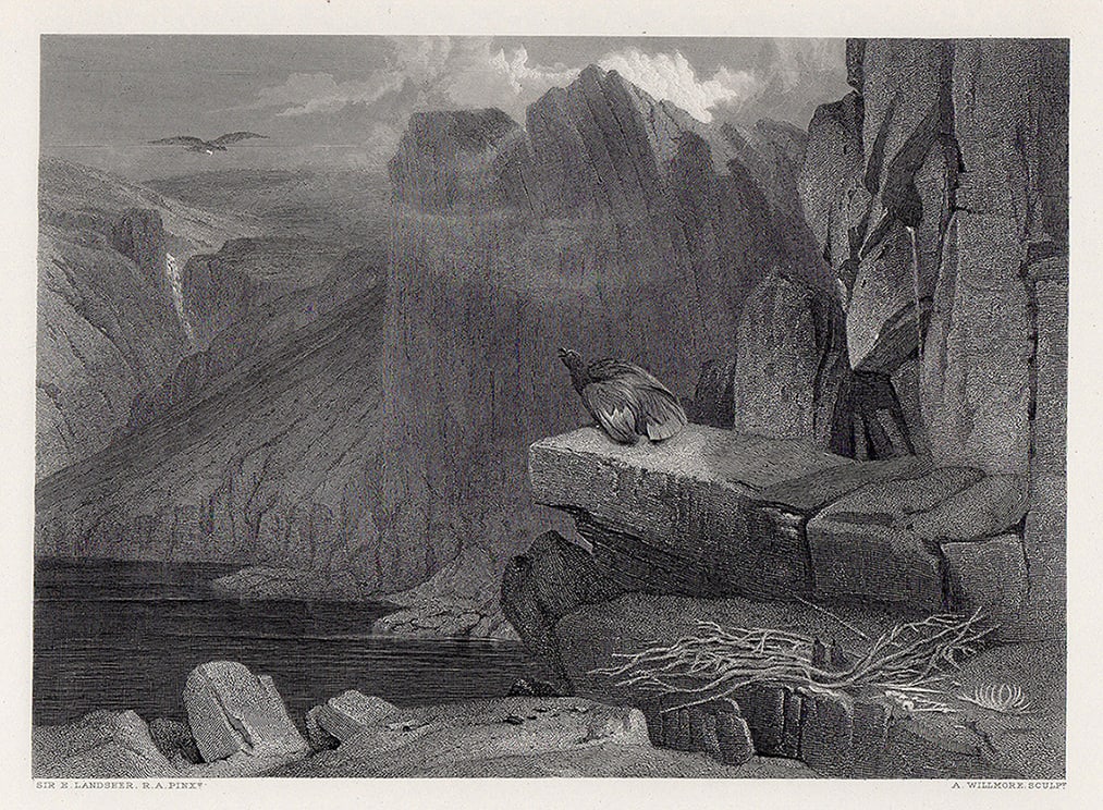 Sir Henry Edwin Landseer The Eagle's Nest 1876 engraving (1 of 2)
