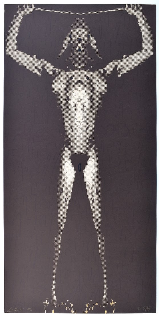 Zush Evru 1991 Lithograph Calina Dosid Signed Numbered (1 of 5)