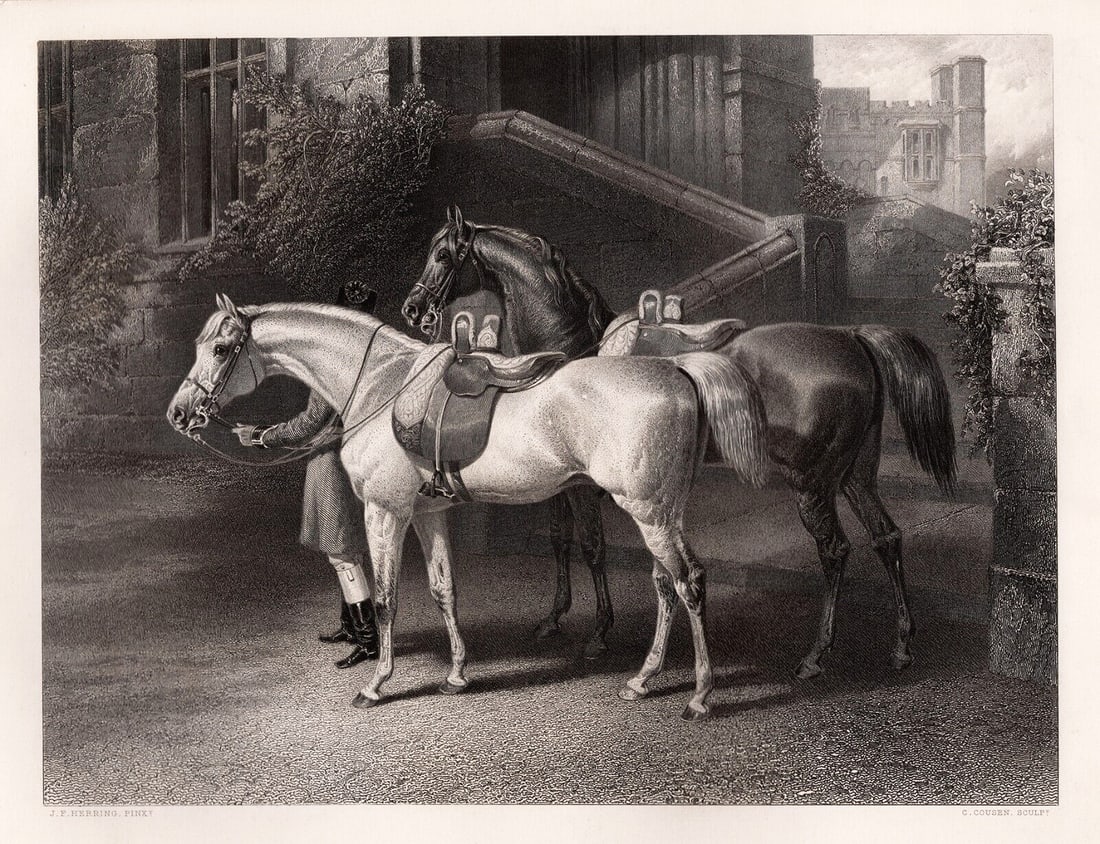 Framed 1800s John Frederick Herring Engraving Windsor Castle Horses Signed (1 of 3)