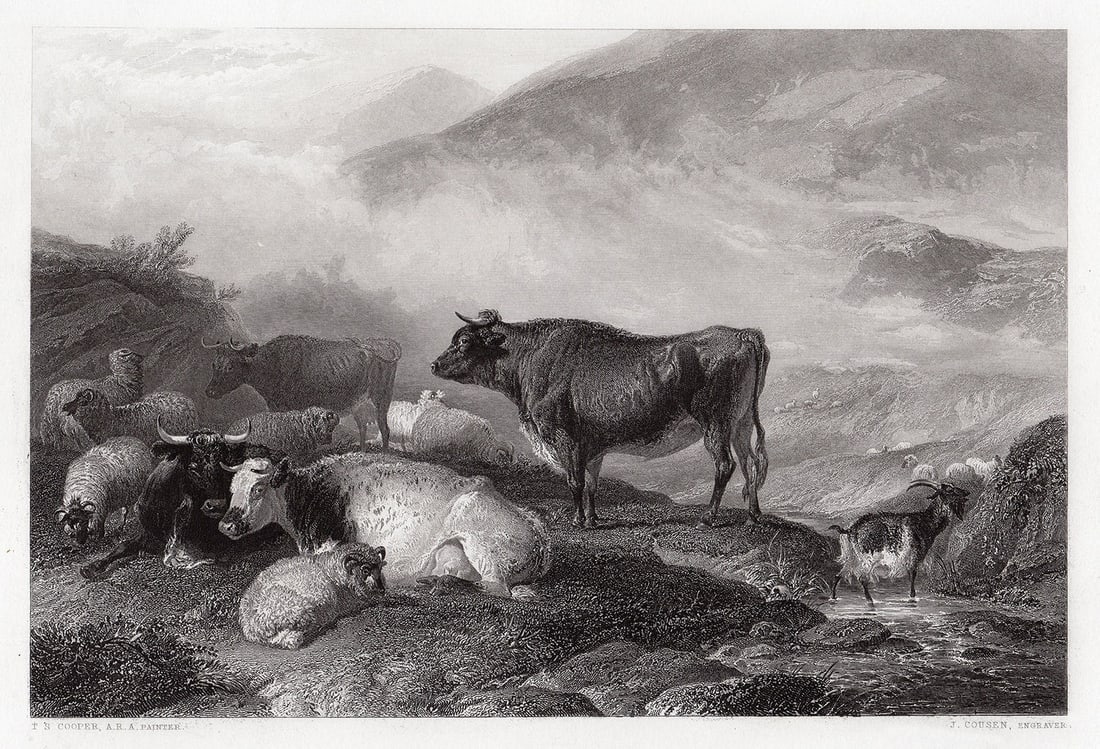 Thomas Sidney Cooper Cattle Early Morning 1849 engraving: Thomas Sidney Cooper. (English, 1803 - 1902). Cattle Early Morning. Antique engraving on thick wove paper after the original painting by master engraver John Cousen (1804 - 1880). 1849. Signed in the 
