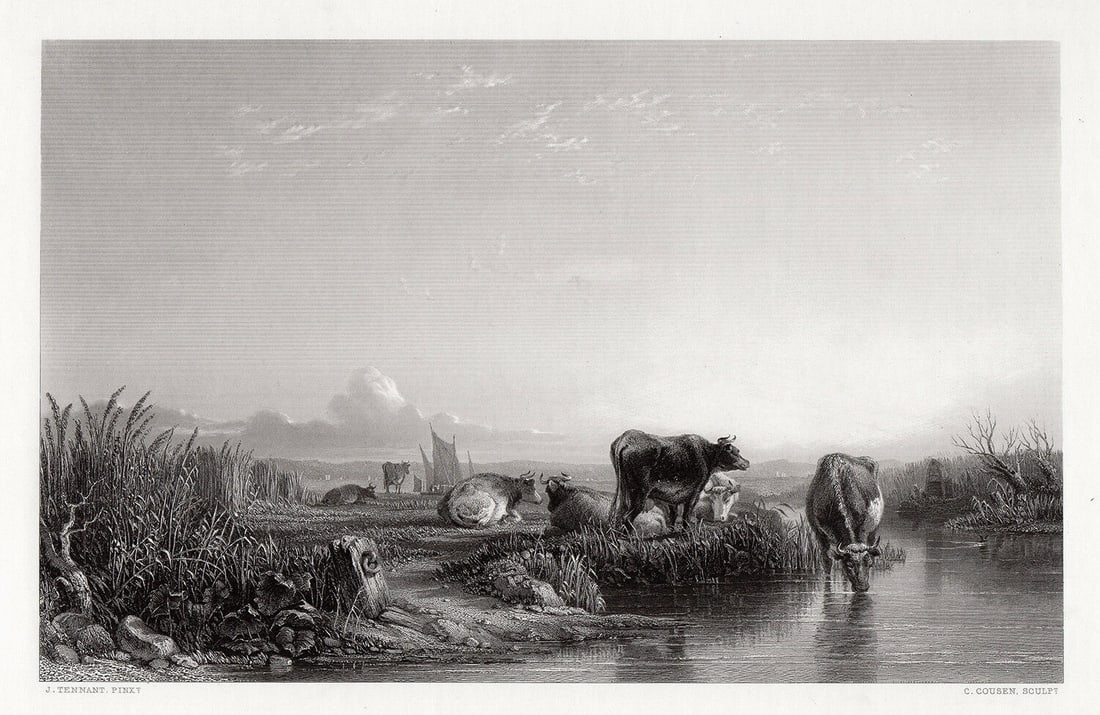 John Frederick Tennant The Rest at Eve 1857 engraving: John Frederick Tennant. (British, 1796-1872). The Rest at Eve. Antique engraving on wove paper after the original painting by master etcher Charles Cousen (British, 1819 - 1889). 1857. Signed in the p