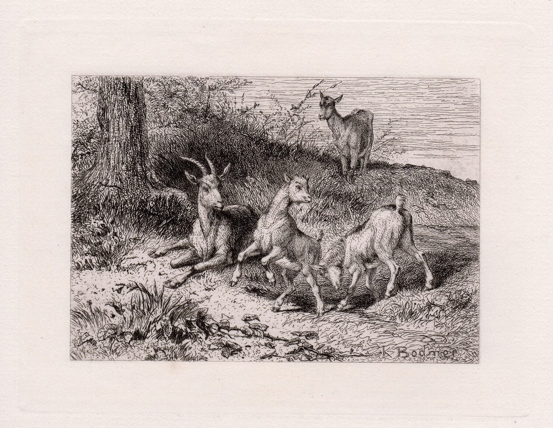 1872 Karl Bodmer Kids etching signed: Johann Carl Bodmer known as Karl Bodmer. (Swiss, 1809-1893). "Kids". Original etching on thick laid paper. 1872. Signed in the plate lower right. Excellent. Image size 4 5/8 x 6 1/4 inches. Framed dim