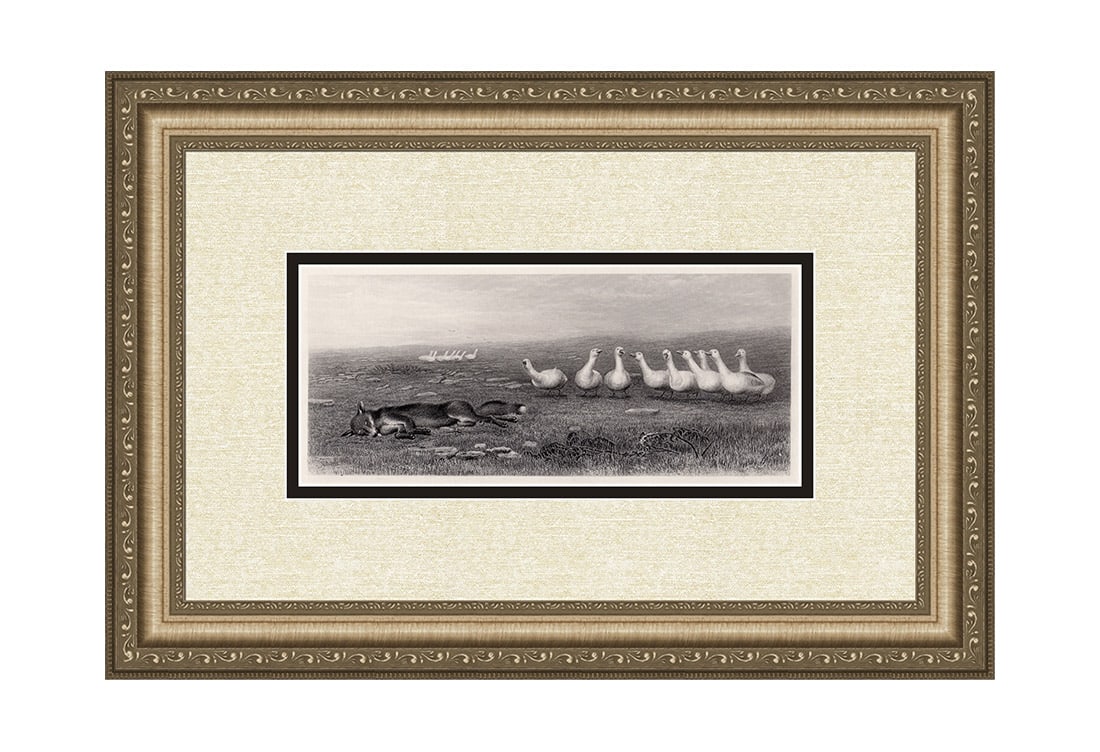 Briton Riviere The Fox and the Geese 1883 engraving (1 of 4)