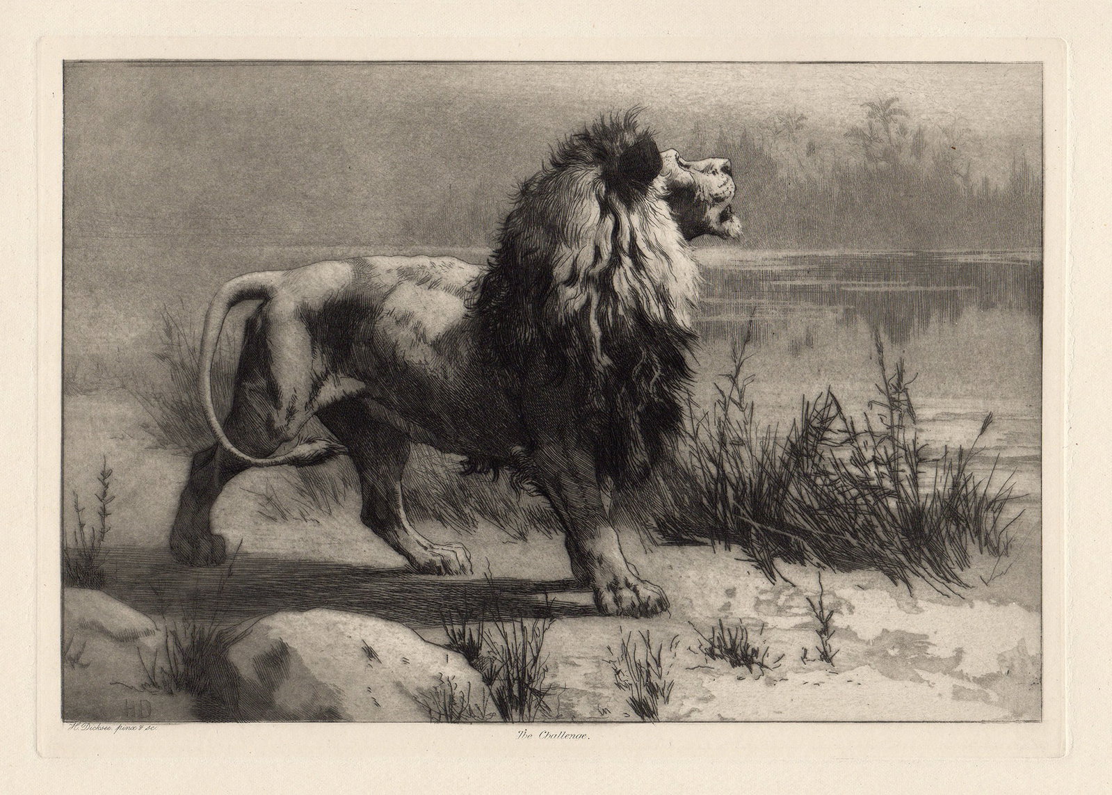 Herbert Thomas Dicksee Lion Challenge 1892 - 2
