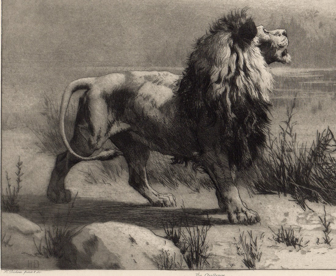 Herbert Thomas Dicksee Lion Challenge 1892 - 3