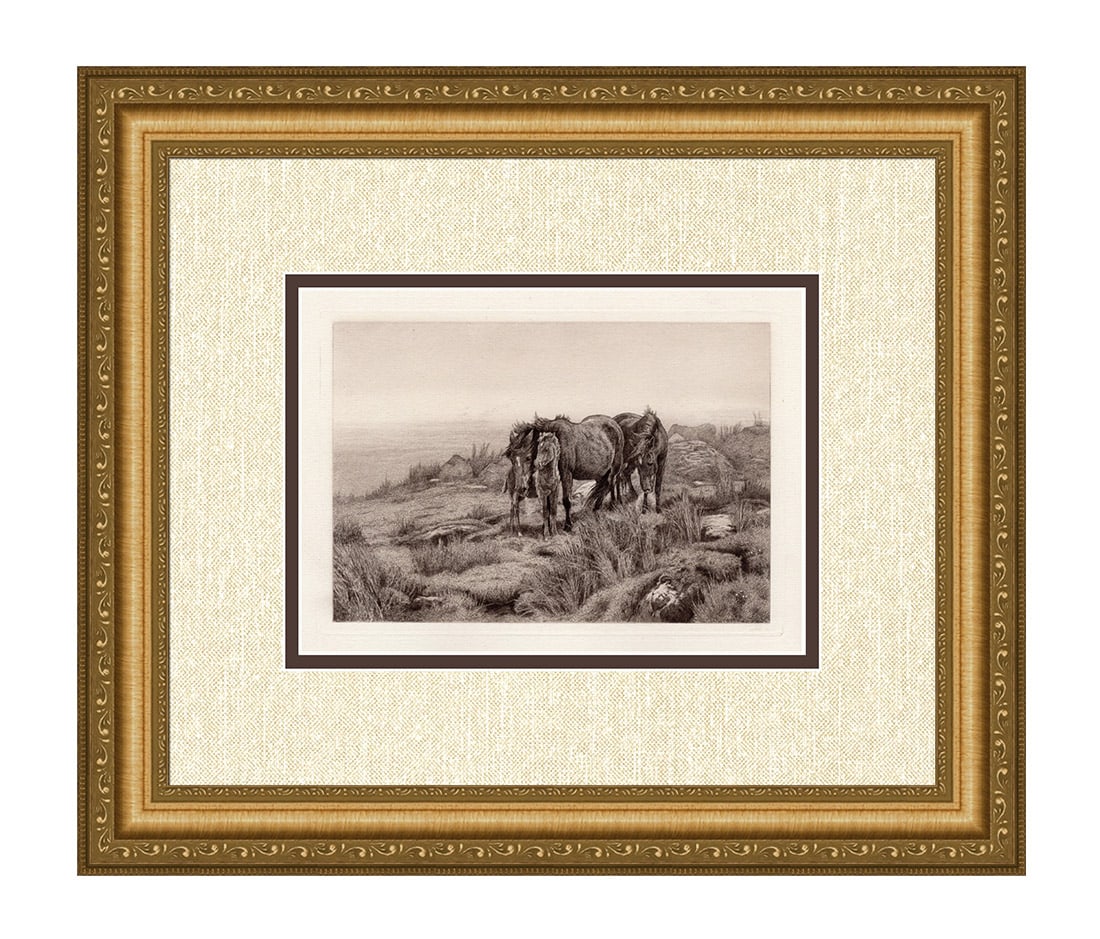 Otto Weber Dartmoor Mist Horses 1885 Etching: Otto Weber (German, 1832-1888). Fresh Dartmoor Mist. Image size 7 x 10 inches. Antique etching on thick laid paper after the original by master etcher Louis John Steele (New Zealand, 1842-1918). 1885 