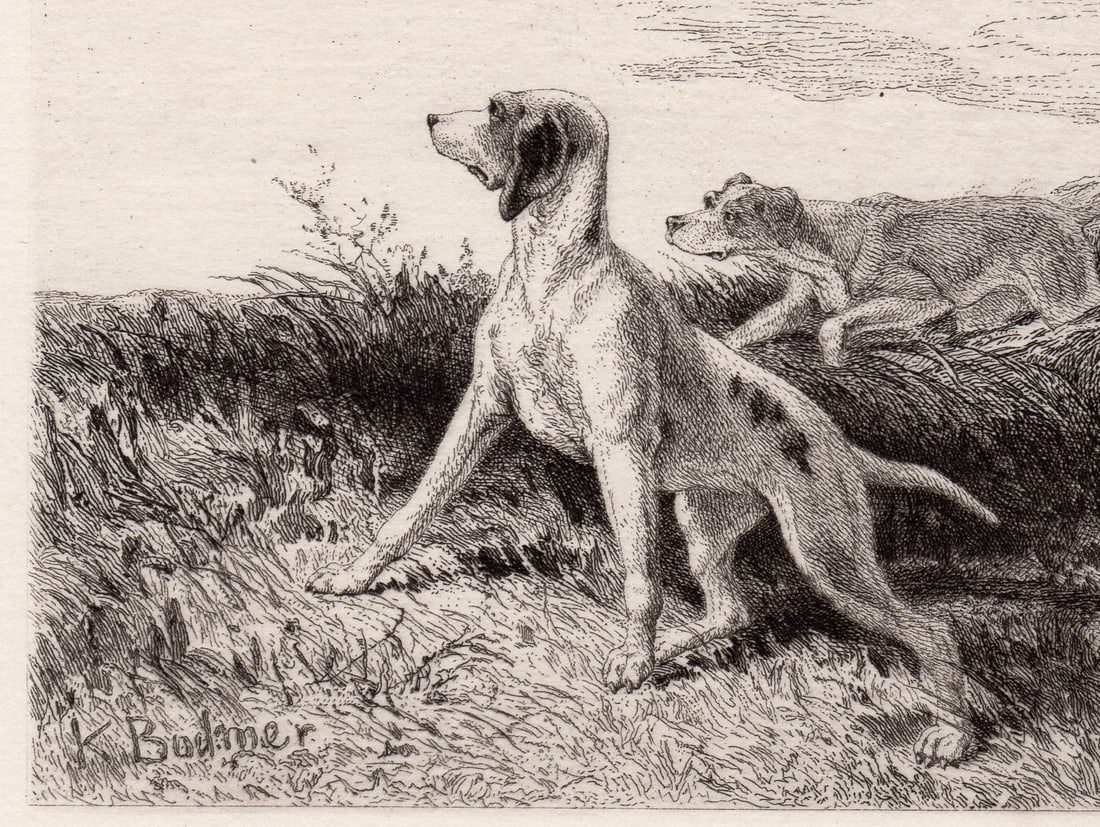 1872 Karl Bodmer Dogs etching signed - 2