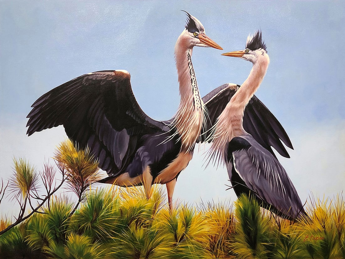 Tapia Original Oil Painting Herons 30 x 40 Inches: Pedro Tapia. Pair of Herons. Original oil painting on canvas. Canvas Size 30 x 40 inches. Pedro Tapia was born in Tacna, Peru, in 1970. He displayed exceptional talent at an early age and decided to b