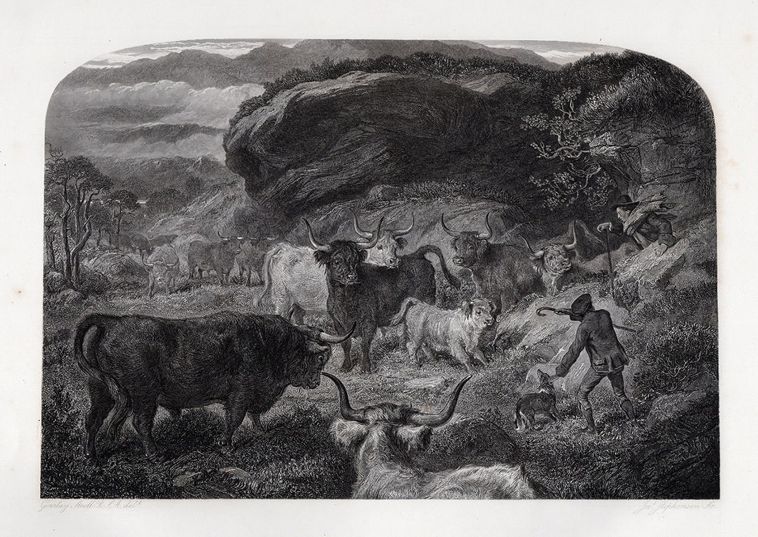 Gourlay STEELL 1800s Engraving Landscape with Cattle Framed SIGNED: Gourlay Steell (Scottish, 1819-1894). Cattle Lifting. Antique engraving on wove paper after the original by master engraver James Stephenson (British, 1808-1886). Signed in the plate. Year: 1868. Imag