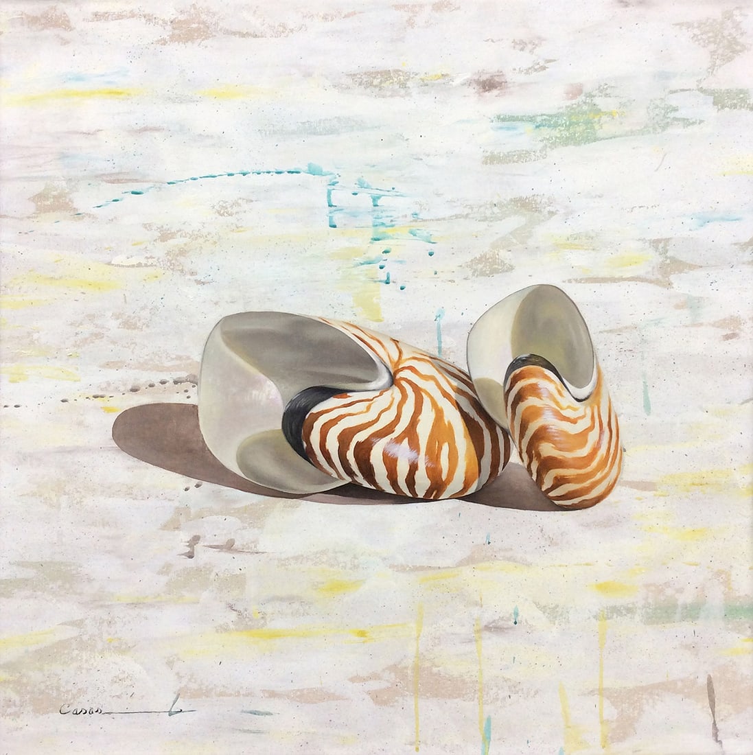 Francisco Casas Original Realism Painting Shells VII 27 x 27 Inches (1 of 2)