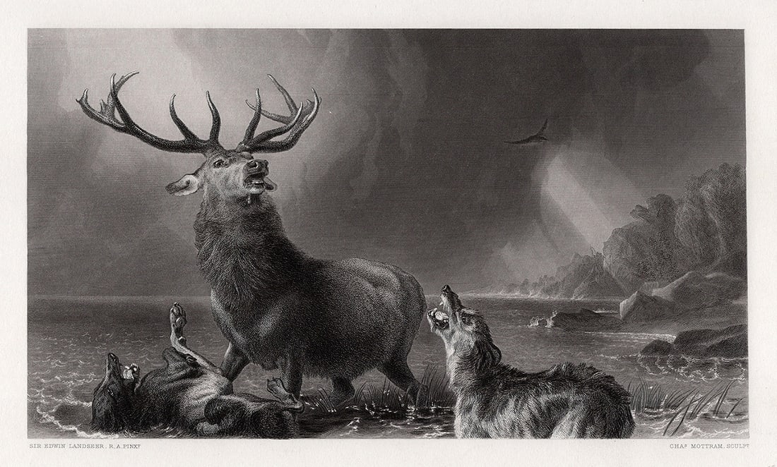 1870 Edwin LANDSEER Engraving The Stag at Bay SIGNED Framed: Sir Edwin Henry Landseer (English, 1802-1873). The Stag at Bay. Antique engraving on wove paper after the original by master engraver Charles Mottram (British, 1807-1876). Year: 1870. Signed in the