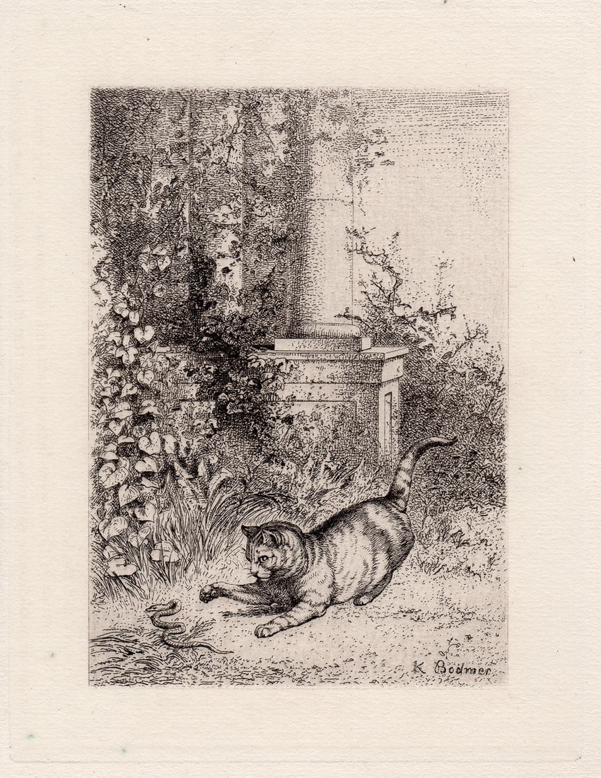 1872 Karl Bodmer Cats etching signed: Karl Bodmer. (Johann Carl Bodmer) (Swiss, 1809-1893). Cats. Antique etching on thick laid paper. 1872. Signed in the plate, lower right. Excellent. Image Size 4 3/4 x 6 1/4 inches. Approximately 14 x 
