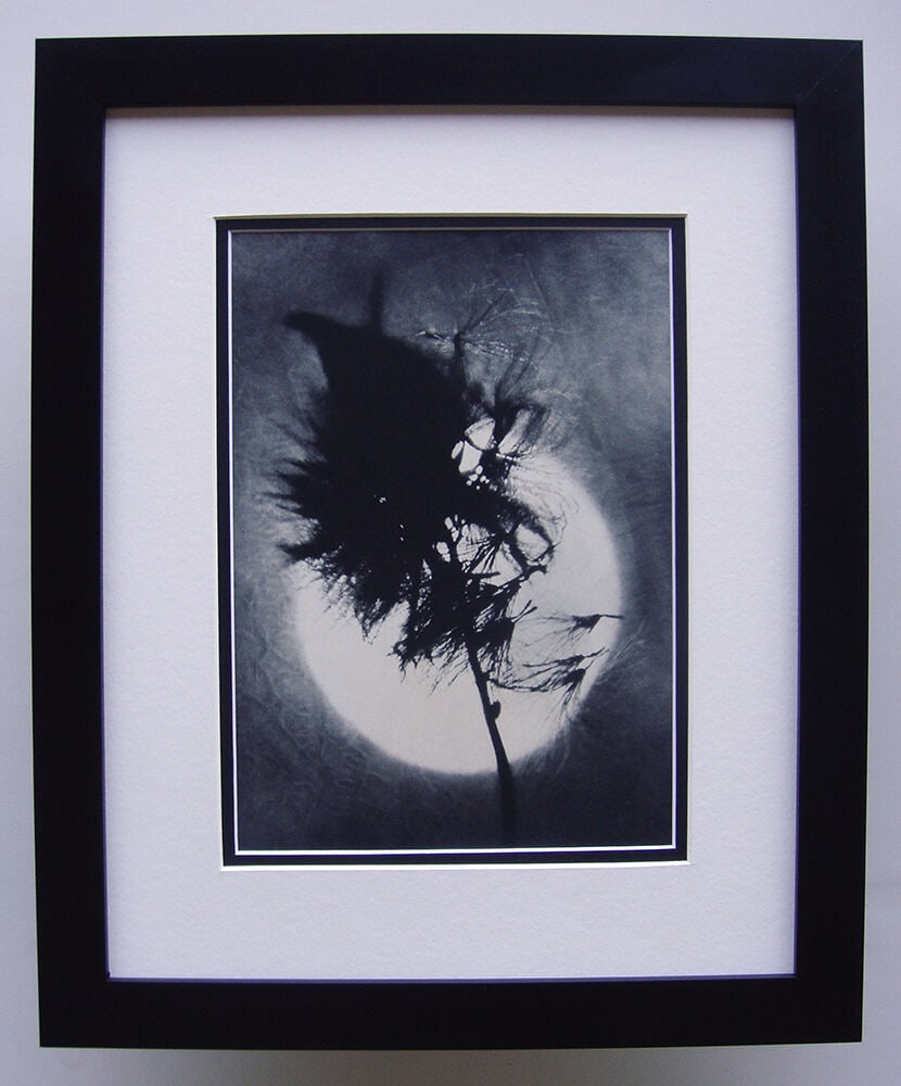 Erwe Kondor The Sun 1930's photogravure: Erwe. Kondor Press. The Sun. Antique Photogravure. 1937-1940. Excellent. Teriade. Draeger Freres. Image size 8 x 10 7/8 inches. Approximately 17 x 20 inches. This piece has been professionally matted 