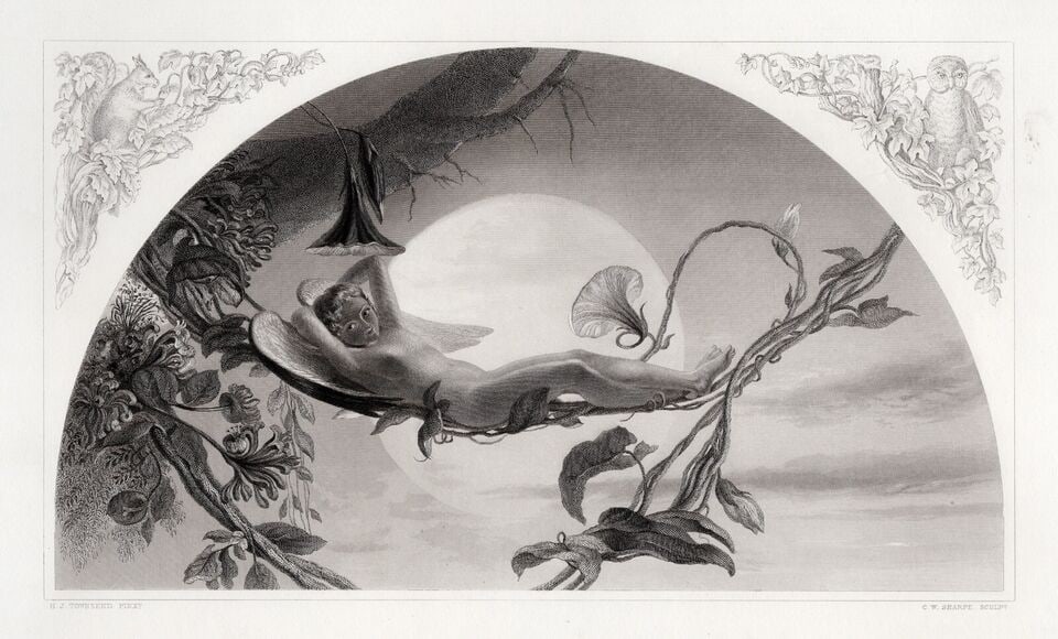1800s Henry James Townsend Antique Engraving ARIEL Signed Framed: Henry James Townsend (British, 1810-1890). Ariel. Antique engraving on wove paper after the original by master engraver Charles William Sharpe (British, 1818-1899). Year: 1855. Image Size 6 1/4 x 10