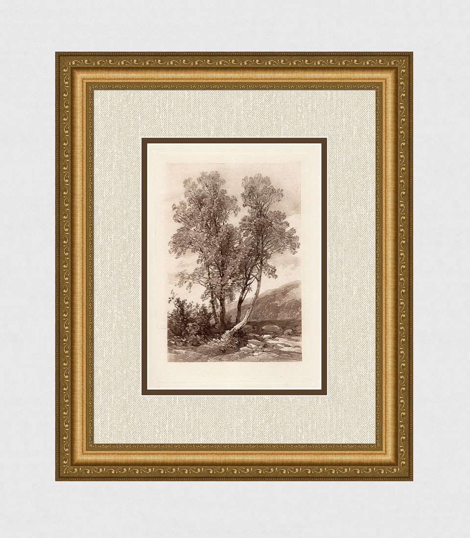 James Harding Study of Ash Trees 1883 engraving: James Duffield Harding. (1798-1863). Study of Ash Trees. Antique engraving on laid paper after the original by a master engraver. 1883. Excellent. Image Size 7 x 11 inches. Approximately 16 x 20 inche