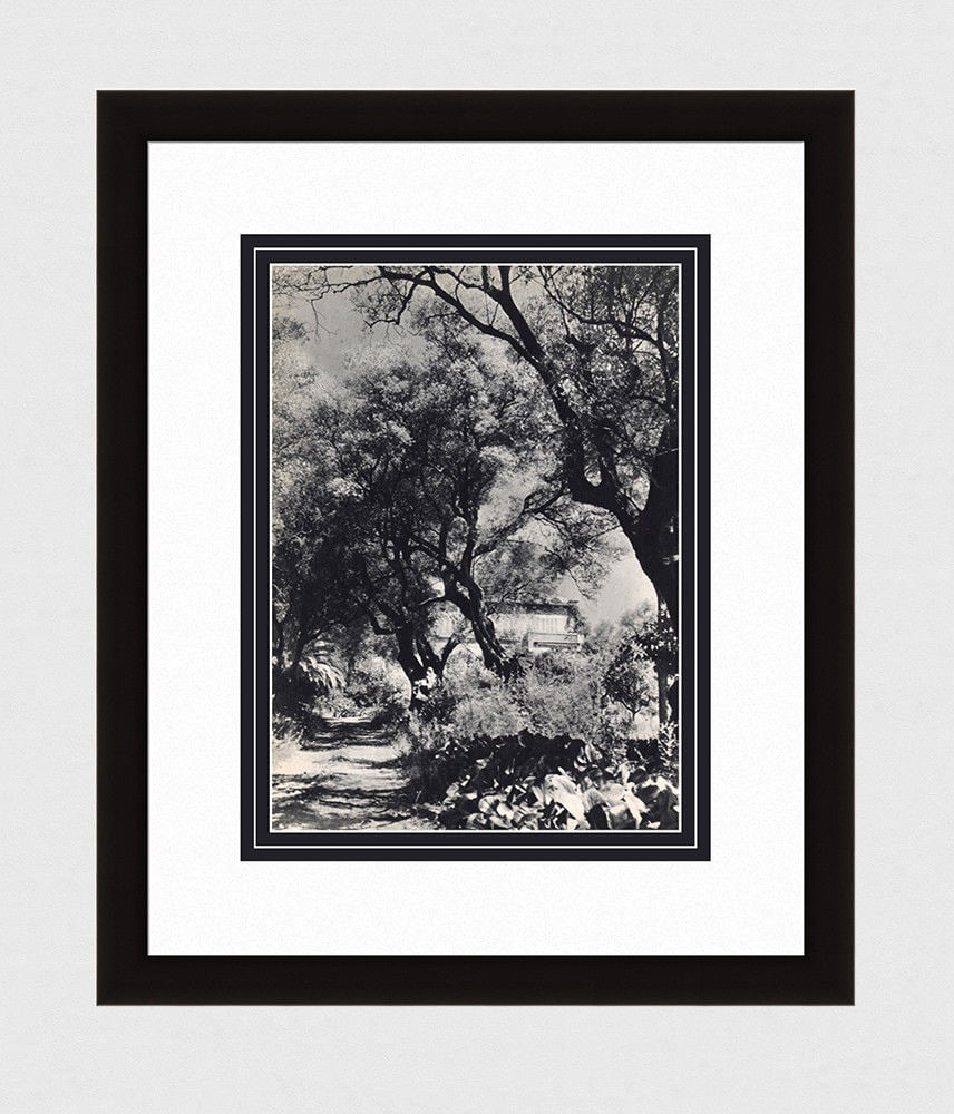 Wilhelm (Willy) Maywald Renoir's House at Cagnes sur Mer 1930's photogravure: Wilhelm. (Willy) Maywald (German,1907 - 1985). Renoir's House at Cagnes sur Mer. Antique Photogravure. 1937-1940. Excellent. Teriade. Draeger Freres. Image size 9 5/8 x 13 5/8 inches. Approximately 19