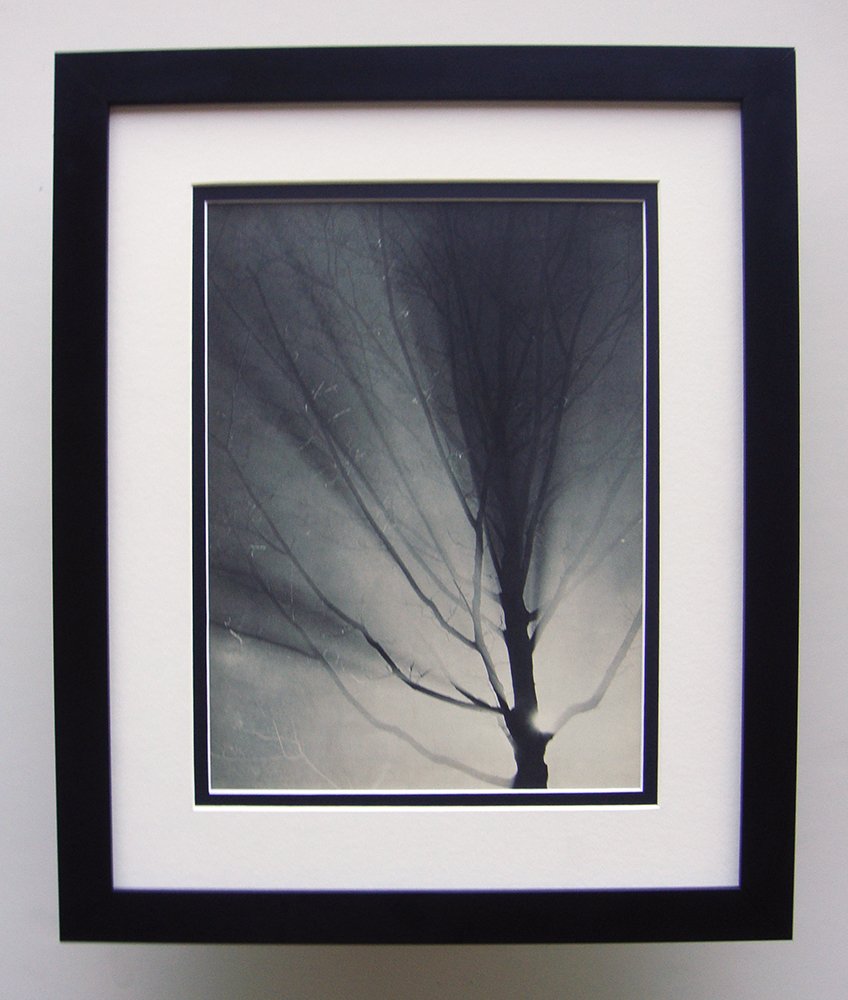 Brassai Trees Photogravure matted and framed: Brassai (1899-1984) "Trees" Photogravure, 1937-1940. Double matted and framed in contemporary black frame. Framed dimensions 17 x 21 inches. Comes with a Certificate of Authenticity.