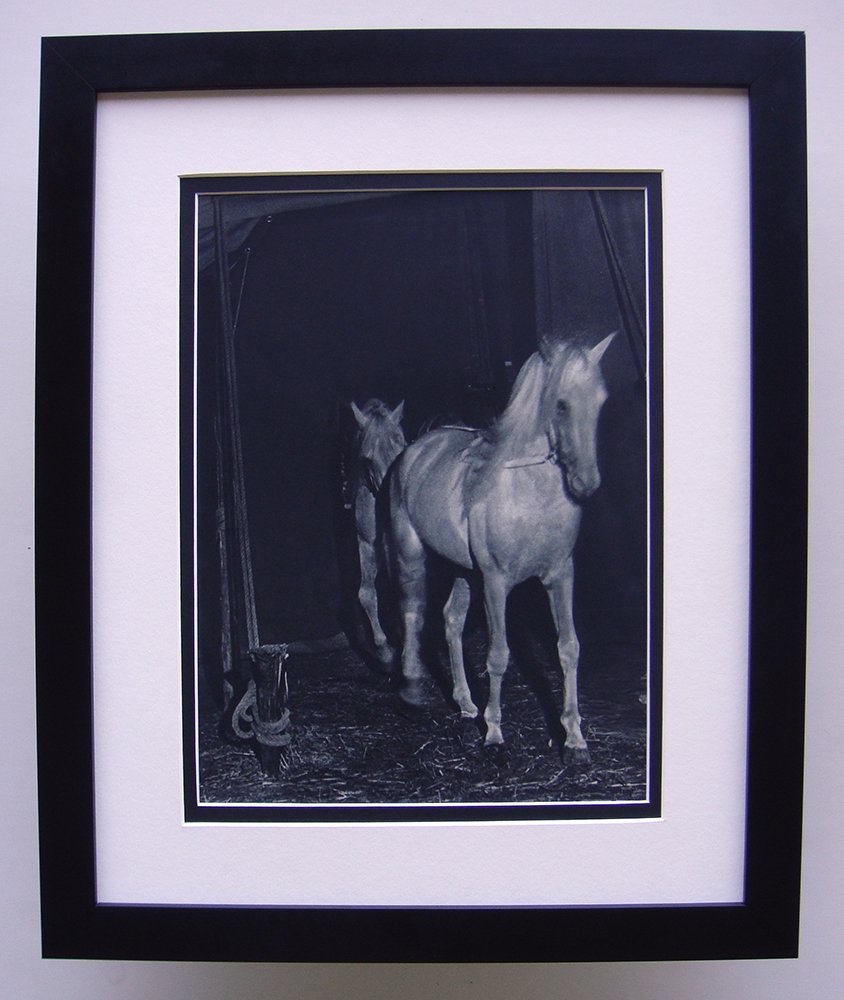 Brassai Horses photogravure framed: Brassai (1899-1984) "Horses" Photogravure, 1937-1940. Double matted and framed in contemporary black frame. Framed dimensions 17 x 21 inches. Comes with a Certificate of Authenticity.