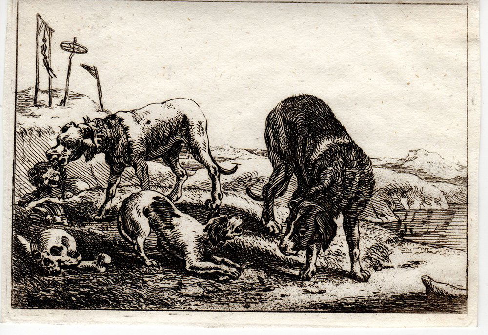 Theodor Van Kessel Fighting Dogs etching: Theodor Van Kessel (Dutch, 1620 - 1660). " Fighting Dogs" etching on wove paper from a series of animal etchings after designs of Flemish Painter Jan van den Hecke, 1654. Dimensions: 2 3/4 x 4inches.