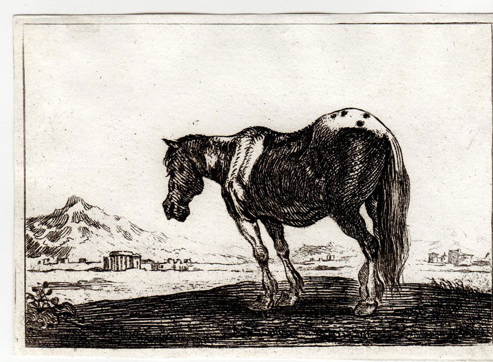 Theodor Van Kessel Horse etching: Theodor Van Kessel (Dutch, 1620 - 1660). " Horse" etching on wove paper from a series of animal etchings after designs of Flemish Painter Jan van den Hecke, 1654. Dimensions: 2 3/4 x 4inches. Comes wi